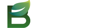 bali-logo350x100